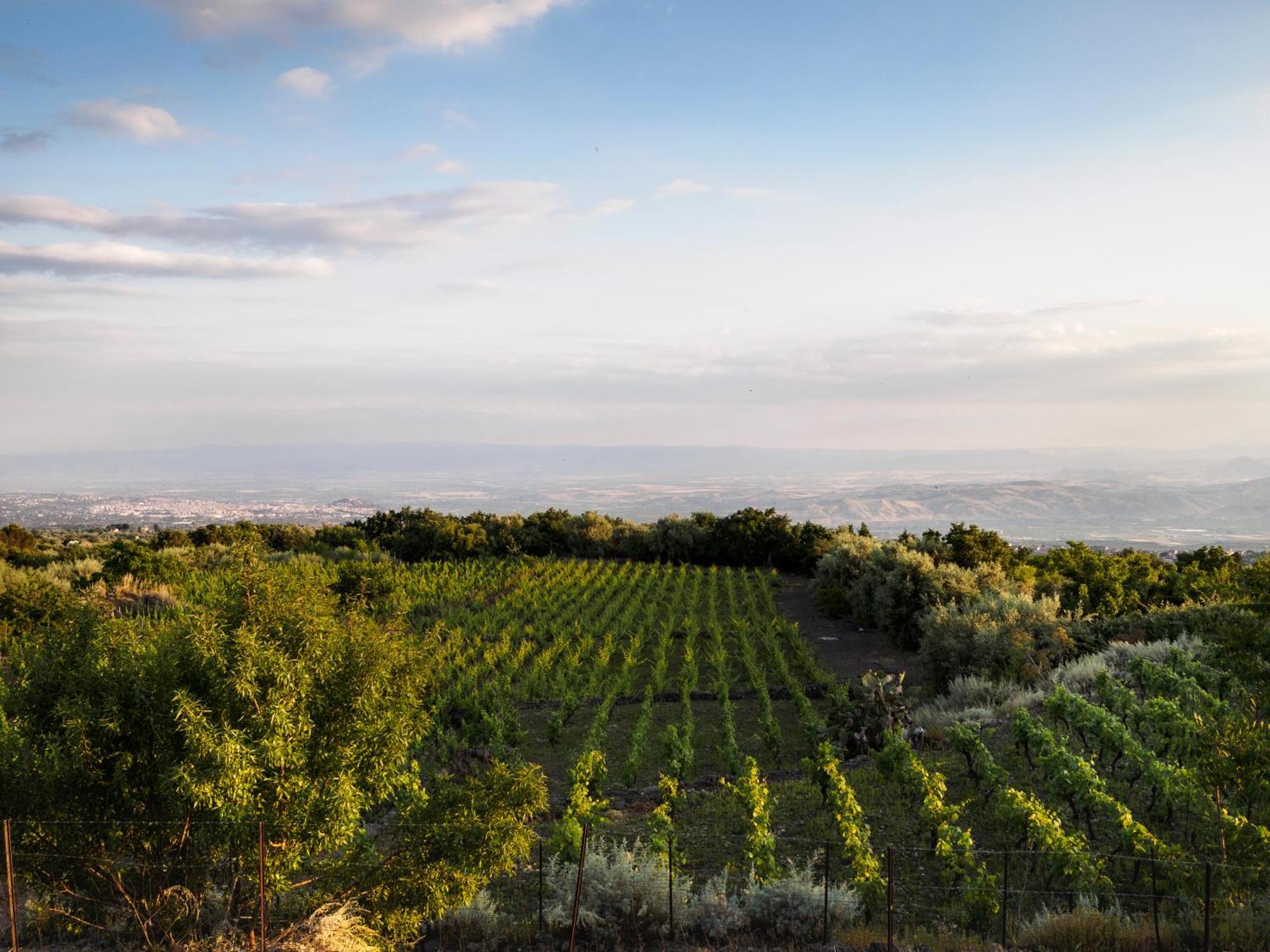 Podere Dell'Etna Segreta - Essential Nature Hotel & Glamping Biancavilla Ngoại thất bức ảnh