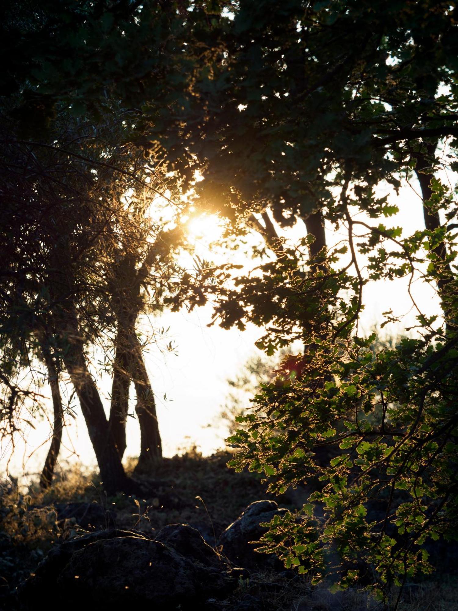 Podere Dell'Etna Segreta - Essential Nature Hotel & Glamping Biancavilla Ngoại thất bức ảnh